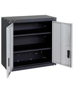 2-Door Wall Cabinet with 2 Shelves, Steel