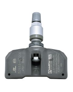 DIL1028 image(0) - Dill Air Controls TPMS SENSOR - 315MHZ HYUNDAI (CLAMP-IN OE)