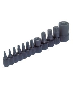 LIS26530 image(0) - Lisle MASTER TAMPER PROOF SET T10-T55 BITS