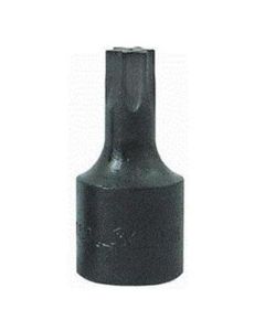 LIS27600 image(0) - Lisle 3/8 DR. T55 TAMPER BIT