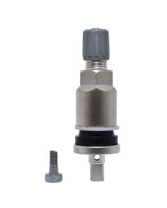 DILVS-240MC-10 image(0) - Dill Air Controls SILVER CLAMP-IN 0.453 TPMS STEM (10 PACK)