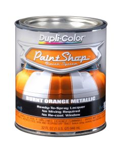 DUPBSP211 image(0) - Krylon Paint Shop Burnt Orange