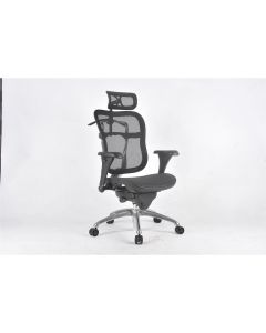 LDS1010462 image(0) - ShopSol Executive Chair - Mesh seat/back