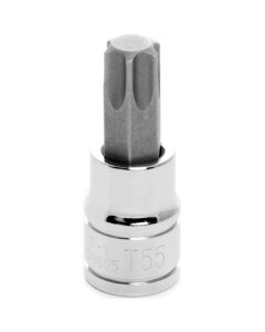 WLMW38855 image(0) - Wilmar Corp. / Performance Tool 3/8'' Dr Star Bit Socket T-55