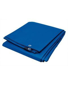 Wilmar Corp. / Performance Tool Tarp (12 x 16)