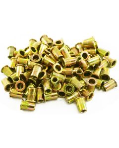 Astro Pneumatic 100pc 1/4-20 Steel Rivet Nuts