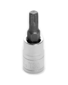 WLMW36830 image(0) - Wilmar Corp. / Performance Tool 1/4'' Dr Star Bit Socket T-30