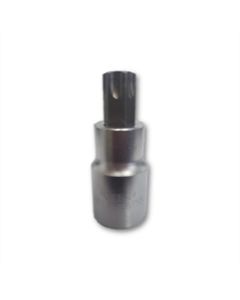 VIM TOOLS VIM Tools T55 Torx Bit, Satin Chrome 1/2 Sqaure Drive bit holder