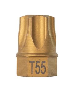 MAY16120 image(0) - T55 Torx&reg; Dual Drive Bit, 7/16" Drive