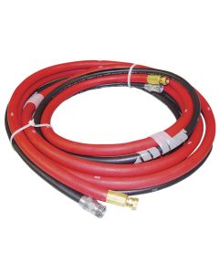 SATA Dual Hoses, 50 Ft, Dan-Am Pressure Tank