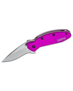 KER1620PUR image(0) - Kershaw Scallion Assisted Open Inset Liner Lock Drop Point Blade EDC Folding Pocket Knife - Purple