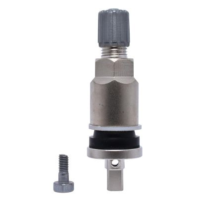 DILVS-240MC-10 image(0) - Dill Air Controls SILVER CLAMP-IN 0.453 TPMS STEM (10 PACK)