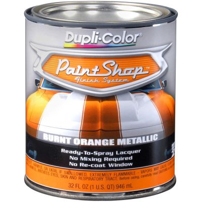 DUPBSP211 image(0) - Krylon Paint Shop Burnt Orange