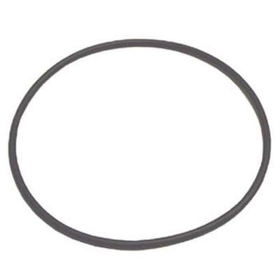 TMRTC181713 image(0) - Tire Mechanic's Resource (H10)Large O-Ring For TC182034 Rotary Coupling Assembly