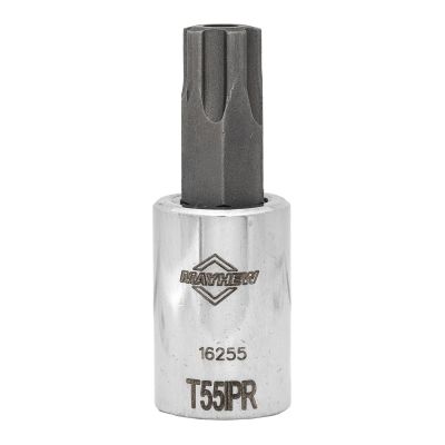 MAY16255 image(0) - Mayhew Mayhew T55IPR Tamper Torx Plus® Short Insert Socket Bit, 3/8-Inch Drive