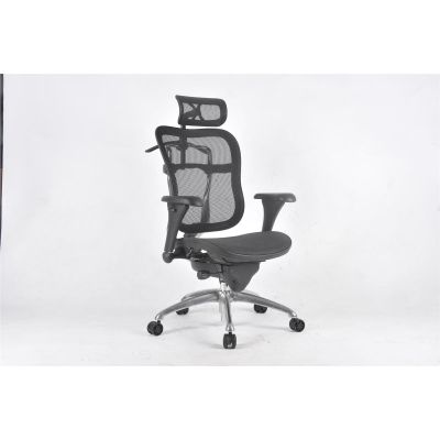 LDS1010462 image(0) - LDS (ShopSol) Executive Chair - Mesh seat/back
