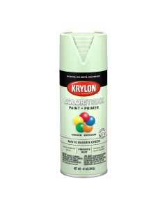 DUP5552 image(0) - Krylon COLORmax Paint Primer