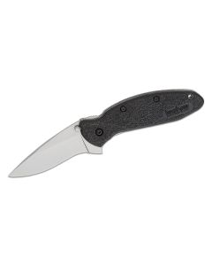 KER1620 image(1) - Kershaw Scallion Assisted Open Inset Liner Lock Drop Point Blade EDC Folding Pocket Knife - Black