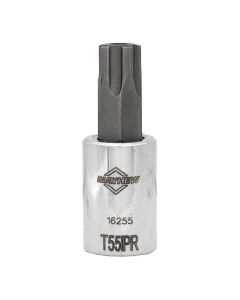 MAY16255 image(0) - Mayhew Mayhew T55IPR Tamper Torx Plus&reg; Short Insert Socket Bit, 3/8-Inch Drive