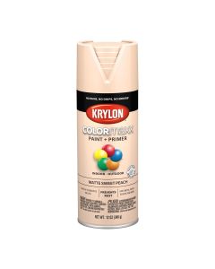 Krylon Fusion Paint Primer