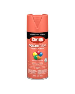 DUP5553 image(0) - Krylon COLORmax Paint Primer