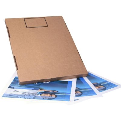 MMM36901 image(0) - 3M 3M 17" x 22" Protective Floor Mat 250/box