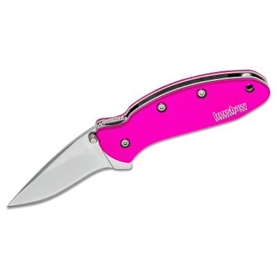 KER1600PINK image(0) - Kershaw Chive Assisted Open Liner Lock Drop Point Blade EDC Folding Pocket Knife - Pink