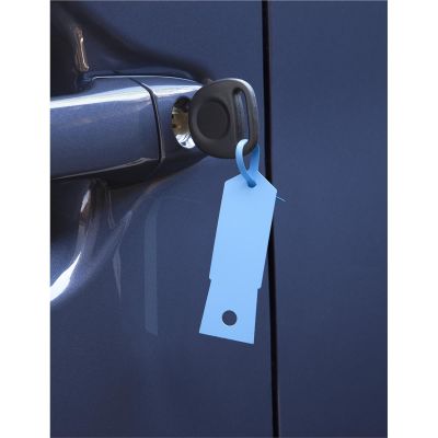 PETFB-P9933-98 image(0) - Petoskey Plastics Blue Plastic Key Tags- 1,000/Box