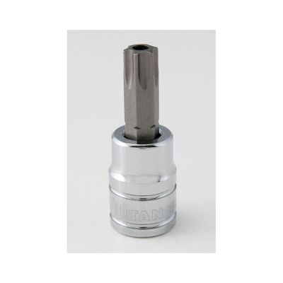 TIT68850 image(0) - TITAN 3/8" DR T50 TR TORX BIT SOCKET