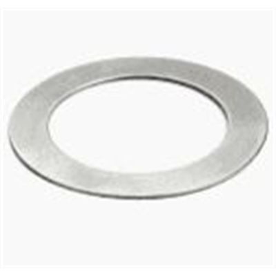 TSFB640 image(0) - Tire Seal of Florida GM Silver Sealing Washer 3/4" - Thin