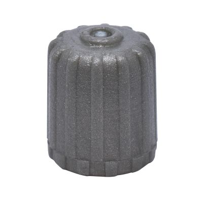 DIL650-100 image(0) - Dill Air Controls TPMS VALVE CAP PACK - 100