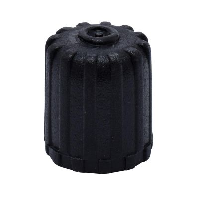 DIL650B-100 image(0) - Dill Air Controls TPMS VALVE CAP - BLACK 100 PK