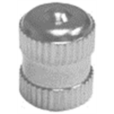 TMRTI103-100 image(0) - Tire Mechanic's Resource 100-pk of Long Metal Dome Tire Valve Cap with Seal