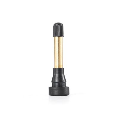 TMRTR602HP-100 image(0) - Tire Mechanic's Resource TR602HP Brass Stem Valve (Pack of 100)