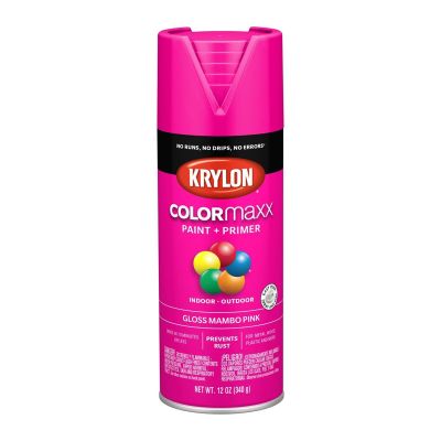 DUP5528 image(0) - Krylon COLORmax Paint Primer