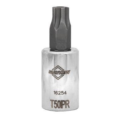 MAY16254 image(0) - Mayhew Mayhew T50IPR Tamper Torx Plus® Short Insert Socket Bit, 3/8-Inch Drive