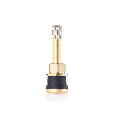 TMRTR500-50 image(0) - Tire Mechanic's Resource TR500 Brass Truck Valve (Pack of 50)