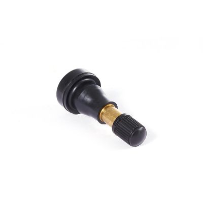 TMRTR600HP-100 image(0) - Tire Mechanic's Resource TR600HP Brass Stem Valve (Pack of 100)