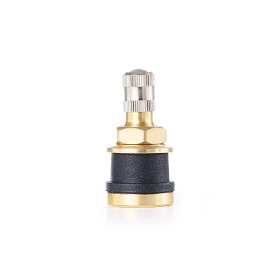 TMRTR575-50 image(0) - Tire Mechanic's Resource TR575 Brass Truck Valve (Pack of 50)