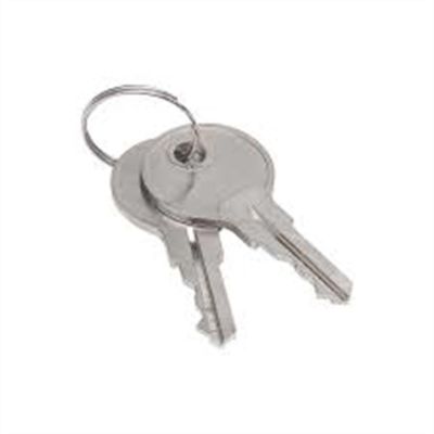 SRWS90479 image(0) - Sellstrom Sellstrom - Keys for Monitor 2000 Germicidal Cabinet (set of 2) (S90494)