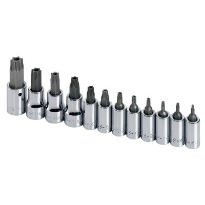 SKT19768 image(0) - S K Hand Tools SOCKET SET TORX TAMPERPROOF 12PC 1/4 & 3/8IN. DR