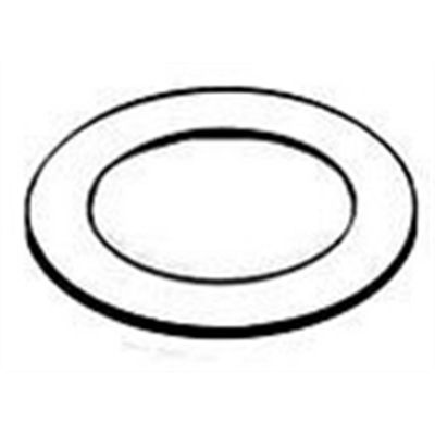 SUR120 image(0) - Milwaukee Sprayer FILLER CAP GASKET